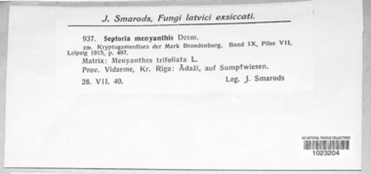 Septoria menyanthis image